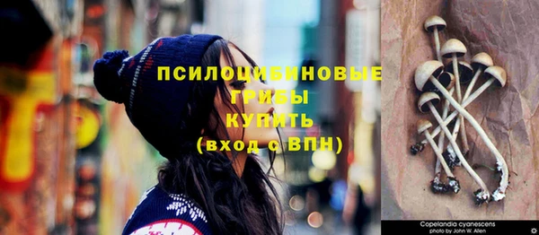 бошки Белоозёрский